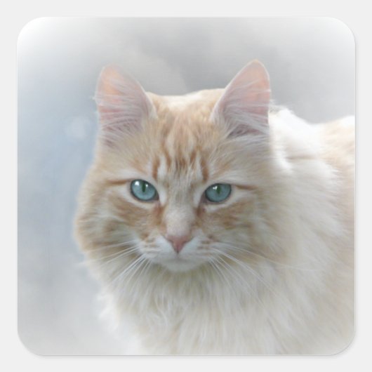 Helderheid AH2010 Vierkante Sticker (Voorkant)