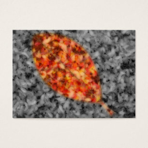 Helderheid Bladwijzer Visitekaartjes