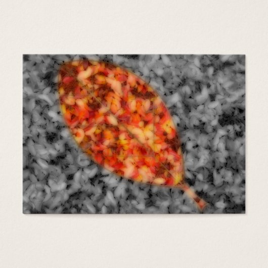 Helderheid Bladwijzer Visitekaartjes (Voorkant)