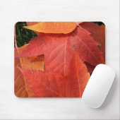 Helderheid Muismat (Met muis)