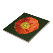 Helderheid Oranje blaasventiel Tegeltje (Zijkant)