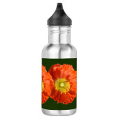 Helderheid Oranje blaasventiel Waterfles (Rechts)