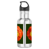 Helderheid Oranje blaasventiel Waterfles (Achterkant)