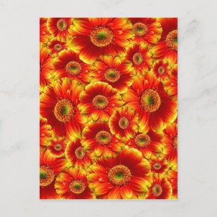 Helderheid Oranje bloemen Briefkaart