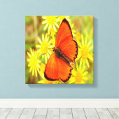 Helderheid Oranje gele vlinderbloemen Canvas Afdruk (Insitu (Houten vloer))