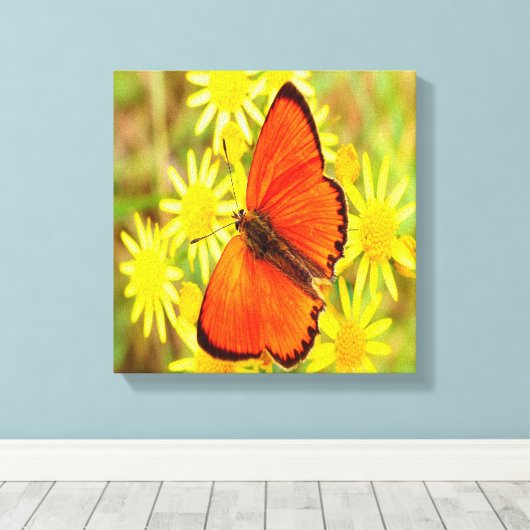 Helderheid Oranje gele vlinderbloemen Canvas Afdruk (Insitu (Houten vloer))