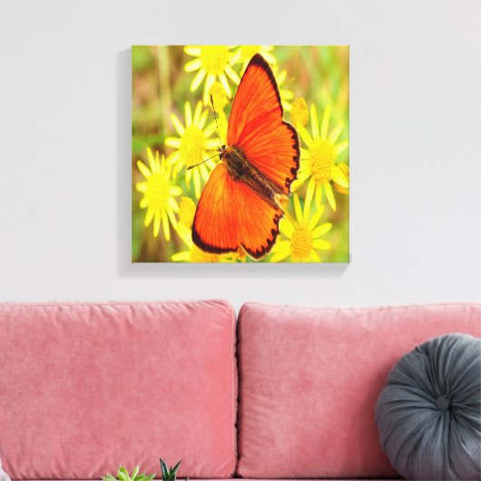 Helderheid Oranje gele vlinderbloemen Canvas Afdruk (Insitu (Woonkamer))