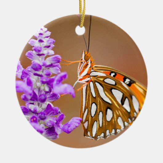 Helderheid Oranje Golfvlindervlinder Keramisch Ornament (Voorkant)