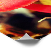 Helderheid Oranje paddenstoel dicht Poster (Hoek)