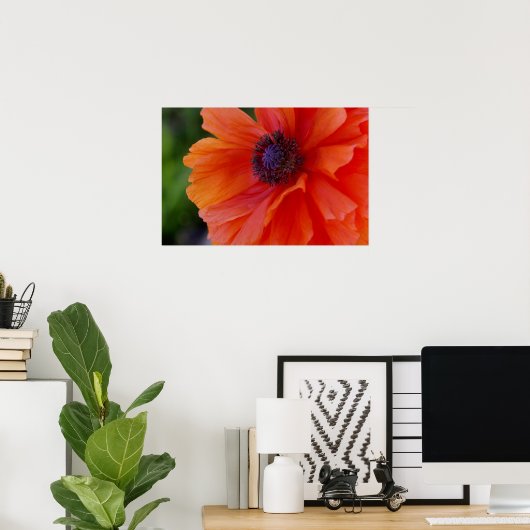Helderheid Oranje papaver Poster (Thuiskantoor)