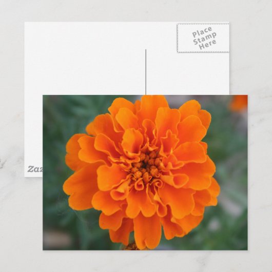 Helderheid Oranje ventilator Briefkaart (Voorkant / Achterkant)