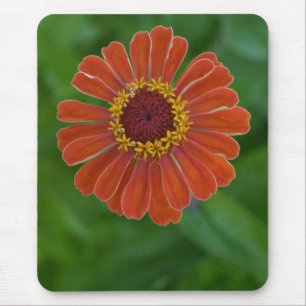 Helderheid Oranje Zinnia Flower Blossom mousepad Muismat