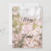 Helderheid over het kruipertje van de kruideniersb kaart (Achterkant)