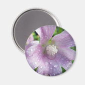 Helderheid paars magneet (Voorkant / Achterkant)