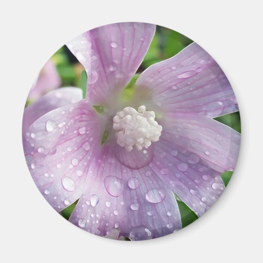 Helderheid paars magneet (Voorkant)