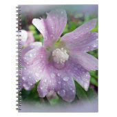 Helderheid paars notitieboek (Voorkant)