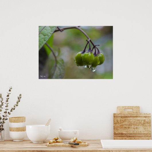 Helderheid Poster (Keuken)