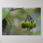 Helderheid Poster (Voorkant)