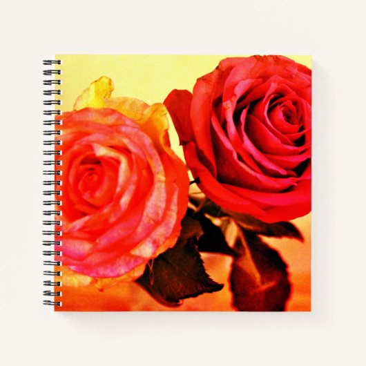 Helderheid Rozen Notitieboek (Voorkant)