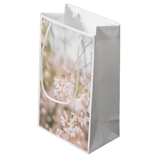 Helderheid van de kersen klein cadeauzakje (Achterkant Gekanteld)