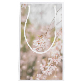 Helderheid van de kersen klein cadeauzakje