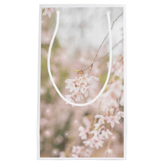 Helderheid van de kersen klein cadeauzakje (Voorkant)