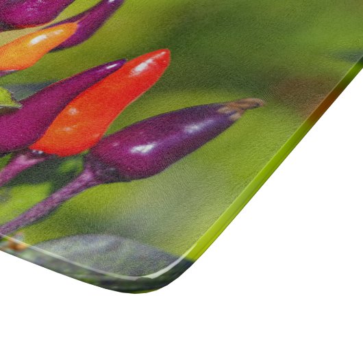 Helderheid van het glazen kappersbord snijplank (Hoek)