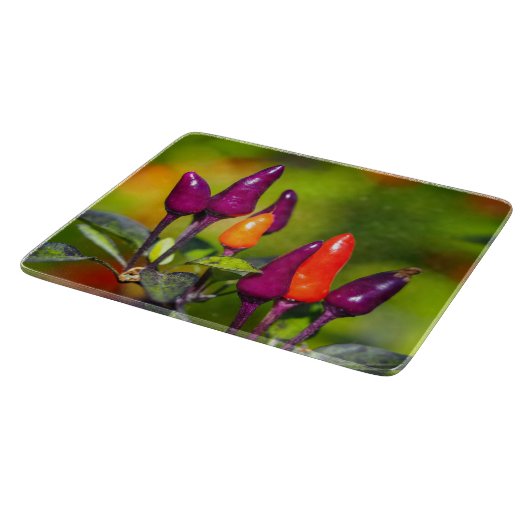 Helderheid van het glazen kappersbord snijplank (Hoek)