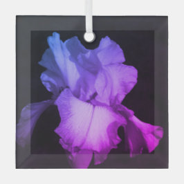 Helderheid van Paarse iris-fotokeramische sierelem Glas Ornament