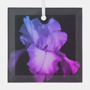 Helderheid van Paarse-Iris fotokeramische versieri Glas Ornament