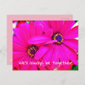 Helderheid van Paarse tuinvloeren Osteospermum Briefkaart (Voorkant / Achterkant)