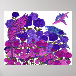 Helderheid van papegaaien poster