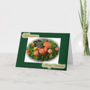 Helderheid voor paddenstoelen feestdagen kaart