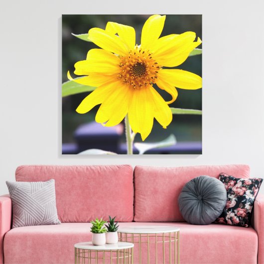 Helderheid zonnebloem - 24 x 24 inch dichtbij canvas afdruk (Insitu (Woonkamer))