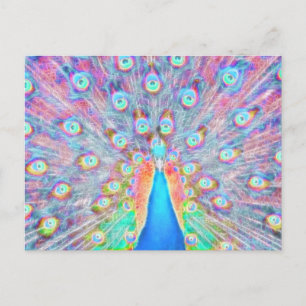 Helderkleurig *Peacock* Spirit design Briefkaart