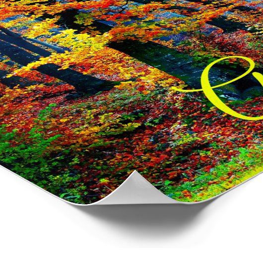 Helderkleurige Herfst Forest Trees Poster (Hoek)