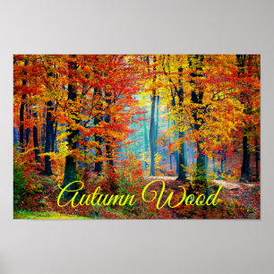 Helderkleurige Herfst Forest Trees Poster