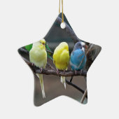 Helderkleurige parakeets Budgies Parrots Birds Keramisch Ornament (Rechts)