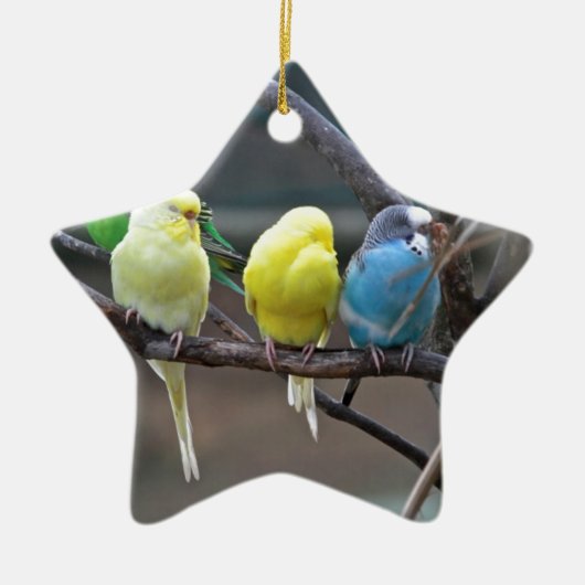 Helderkleurige parakeets Budgies Parrots Birds Keramisch Ornament (Voorkant)