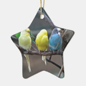 Helderkleurige parakeets Budgies Parrots Birds Keramisch Ornament (Links)