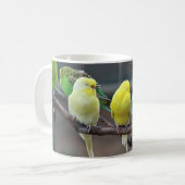 Helderkleurige parakeets Budgies Parrots Birds Koffiemok (Voorkant links)