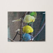 Helderkleurige parakeets Budgies Parrots Birds Legpuzzel (Horizontaal)