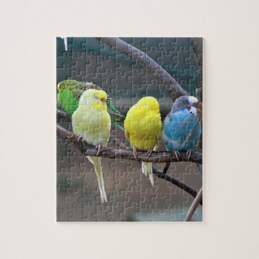 Helderkleurige parakeets Budgies Parrots Birds Legpuzzel (Verticaal)