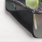 Helderkleurige parakeets Budgies Parrots Birds Muismat (Hoek)