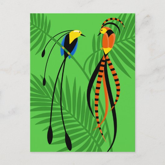 Helderkleurige vogels van het paradijs briefkaart (Voorkant)