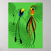 Helderkleurige vogels van het paradijs poster (Voorkant)