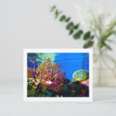 Helderkoraal Briefkaart (Staand voorkant)