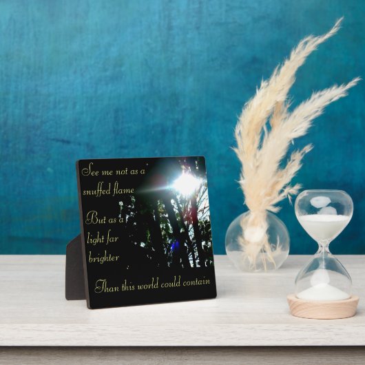 Helderlichte herdenkingsvlak fotoplaat (Insitu)