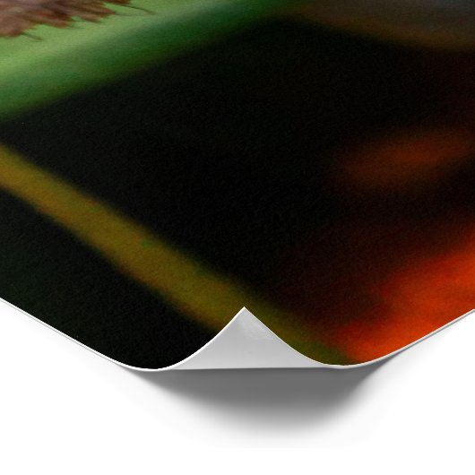 Helderlijk Oranje orchidee Poster (Hoek)