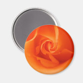 Helderlijk Oranje Roos Magneet (Voorkant / Achterkant)
